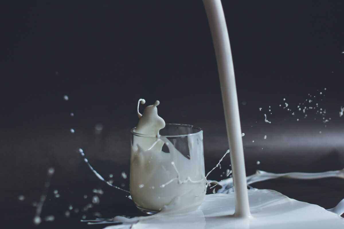 Oat Milk or Dairy? A Comprehensive Nutrition Showdown