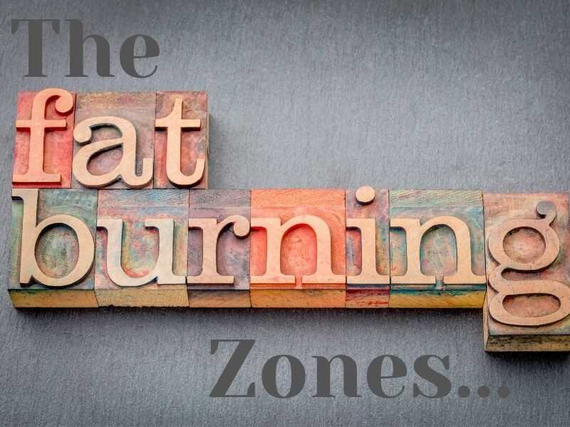 looking at the fat burning zone chart